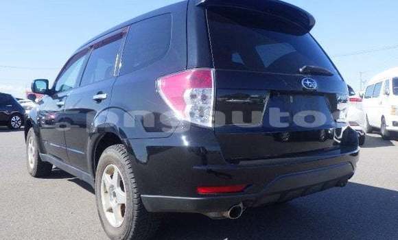 Buy Used Subaru Forester Black Car in Port Moresby in National Capital District Buy Used Subaru Forester Black Car in Port Moresby in National Capital District