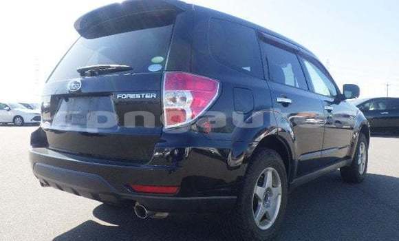 Buy Used Subaru Forester Black Car in Port Moresby in National Capital District Buy Used Subaru Forester Black Car in Port Moresby in National Capital District