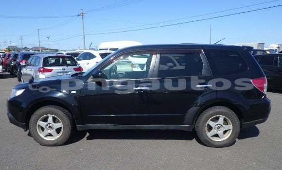 Buy Used Subaru Forester Black Car in Port Moresby in National Capital District Buy Used Subaru Forester Black Car in Port Moresby in National Capital District