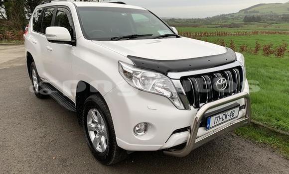 Buy Used Toyota Land Cruiser Prado Other Car in Port Moresby in National Capital District Buy Used Toyota Land Cruiser Prado Other Car in Port Moresby in National Capital District