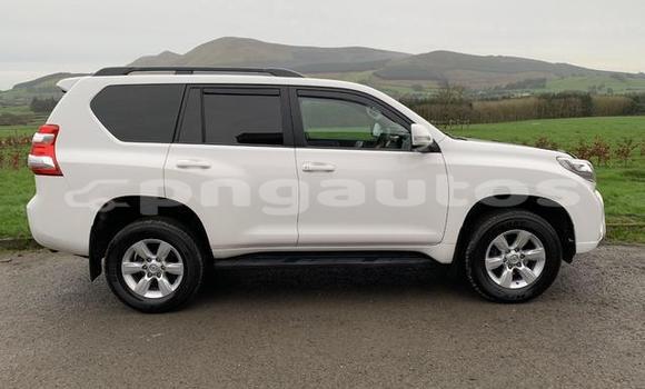 Buy Used Toyota Land Cruiser Prado Other Car in Port Moresby in National Capital District Buy Used Toyota Land Cruiser Prado Other Car in Port Moresby in National Capital District