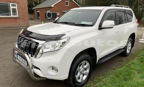 Buy Used Toyota Land Cruiser Prado Other Car in Port Moresby in National Capital District Buy Used Toyota Land Cruiser Prado Other Car in Port Moresby in National Capital District