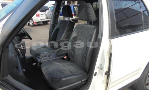 Buy Used Honda CRV White Car in Port Moresby in National Capital District Buy Used Honda CRV White Car in Port Moresby in National Capital District