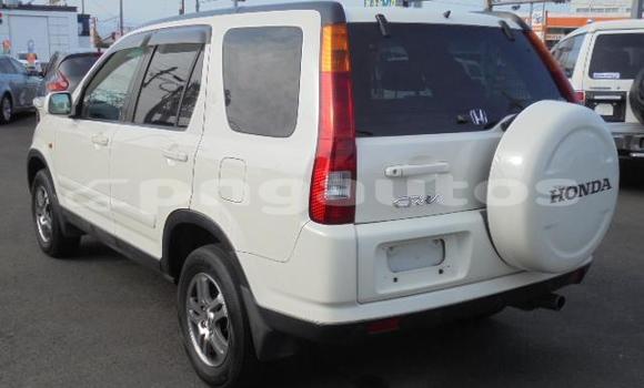 Buy Used Honda CRV White Car in Port Moresby in National Capital District Buy Used Honda CRV White Car in Port Moresby in National Capital District