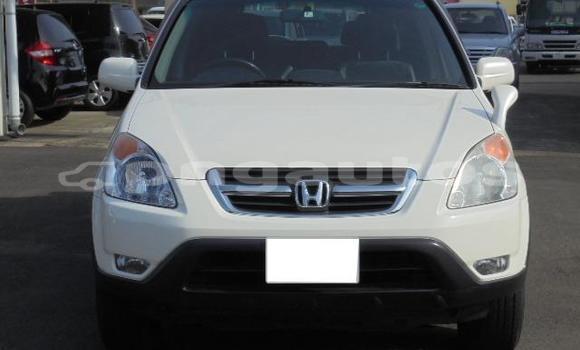 Buy Used Honda CRV White Car in Port Moresby in National Capital District Buy Used Honda CRV White Car in Port Moresby in National Capital District