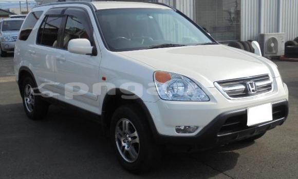 Buy Used Honda CRV White Car in Port Moresby in National Capital District Buy Used Honda CRV White Car in Port Moresby in National Capital District