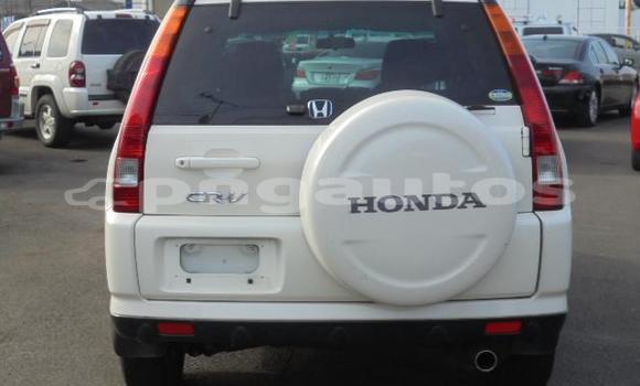 Buy Used Honda CRV White Car in Port Moresby in National Capital District Buy Used Honda CRV White Car in Port Moresby in National Capital District