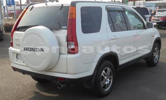 Buy Used Honda CRV White Car in Port Moresby in National Capital District Buy Used Honda CRV White Car in Port Moresby in National Capital District