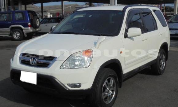 Buy Used Honda CRV White Car in Port Moresby in National Capital District Buy Used Honda CRV White Car in Port Moresby in National Capital District