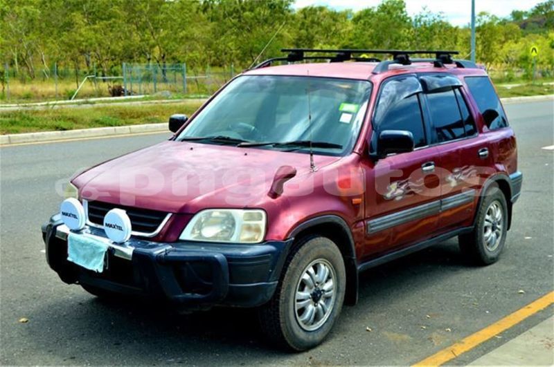 Big with watermark 48416563 1139825896185903 2493259786984882176 n