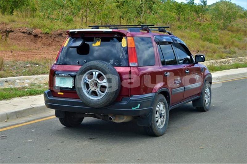 Big with watermark 48966009 1139825929519233 85217159084507136 n