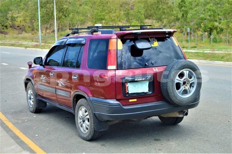 Big with watermark 48994185 1139825876185905 2851599572893958144 n