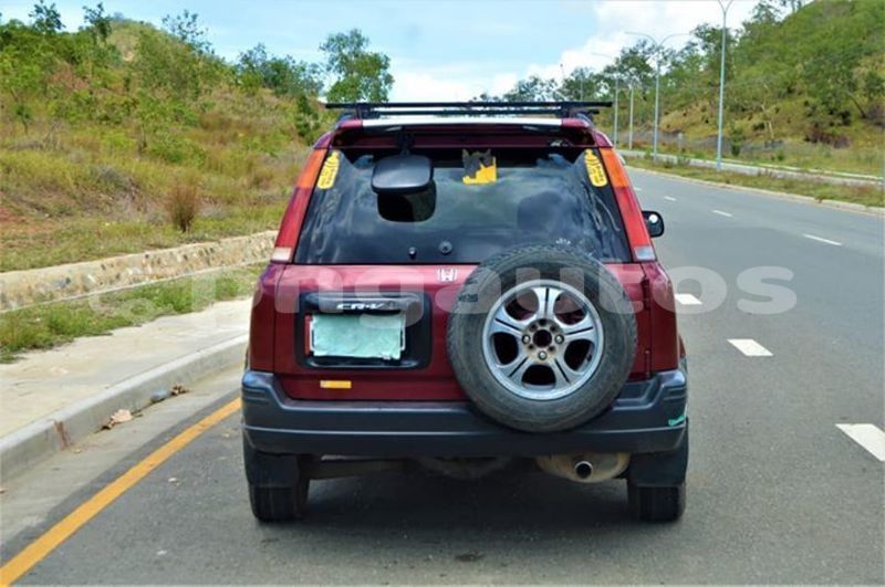 Big with watermark 48428865 1139825849519241 9020066654637260800 n