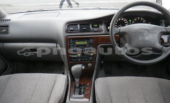 Buy Used Toyota MarkII White Car in Port Moresby in National Capital District Buy Used Toyota MarkII White Car in Port Moresby in National Capital District