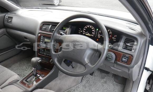 Buy Used Toyota MarkII White Car in Port Moresby in National Capital District Buy Used Toyota MarkII White Car in Port Moresby in National Capital District