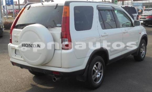 Buy Used Honda CRV White Car in Port Moresby in National Capital District Buy Used Honda CRV White Car in Port Moresby in National Capital District