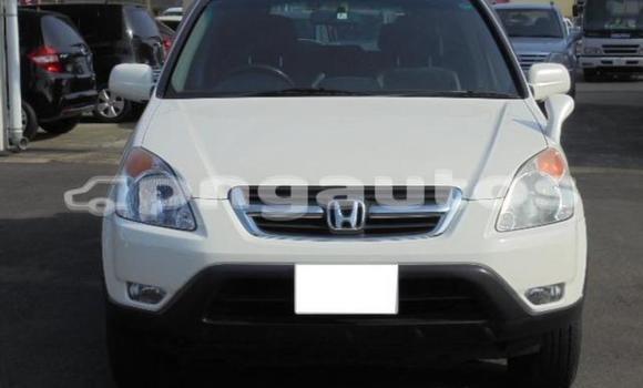 Buy Used Honda CRV White Car in Port Moresby in National Capital District Buy Used Honda CRV White Car in Port Moresby in National Capital District
