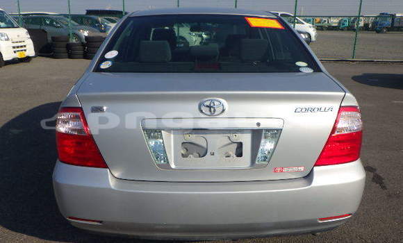 Buy Used Toyota Corolla Silver Car in Port Moresby in National Capital District Buy Used Toyota Corolla Silver Car in Port Moresby in National Capital District