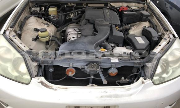 Buy Used Toyota MarkII White Car in Port Moresby in National Capital District Buy Used Toyota MarkII White Car in Port Moresby in National Capital District