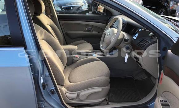 Buy Used Nissan Bluebird Sylphy Blue Car in Port Moresby in National Capital District Buy Used Nissan Bluebird Sylphy Blue Car in Port Moresby in National Capital District