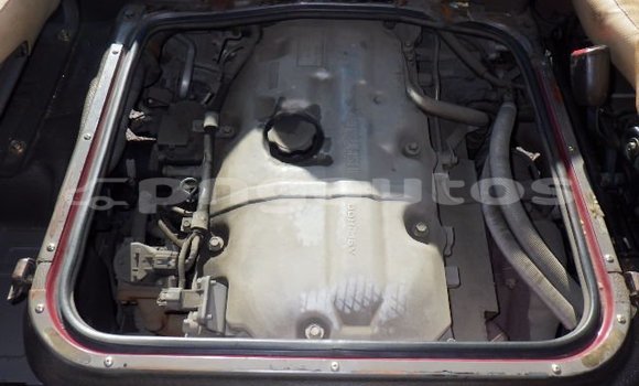 Buy Used Mitsubishi Rosa Red Car in Port Moresby in National Capital District Buy Used Mitsubishi Rosa Red Car in Port Moresby in National Capital District