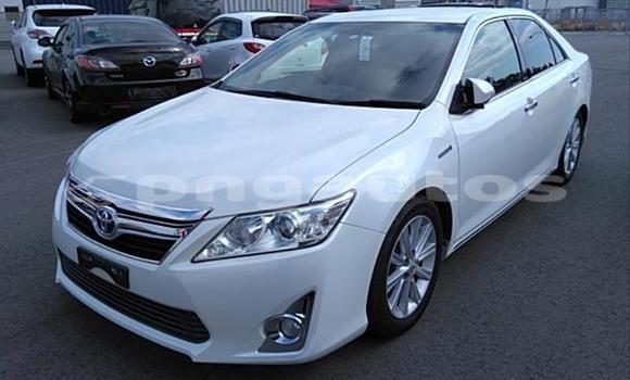 Buy Used Toyota Camry White Car in Port Moresby in National Capital District Buy Used Toyota Camry White Car in Port Moresby in National Capital District
