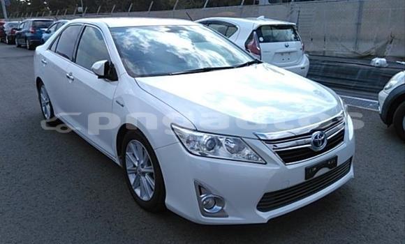 Buy Used Toyota Camry White Car in Port Moresby in National Capital District Buy Used Toyota Camry White Car in Port Moresby in National Capital District