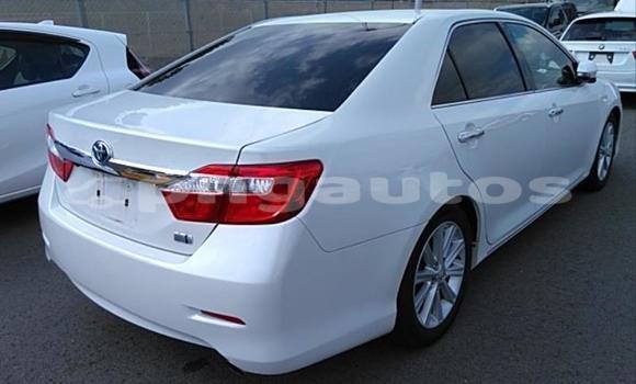 Buy Used Toyota Camry White Car in Port Moresby in National Capital District Buy Used Toyota Camry White Car in Port Moresby in National Capital District