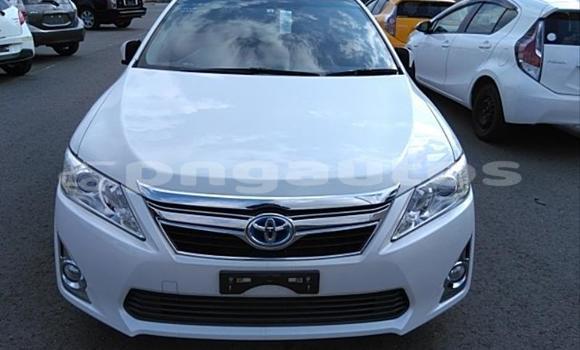 Buy Used Toyota Camry White Car in Port Moresby in National Capital District Buy Used Toyota Camry White Car in Port Moresby in National Capital District