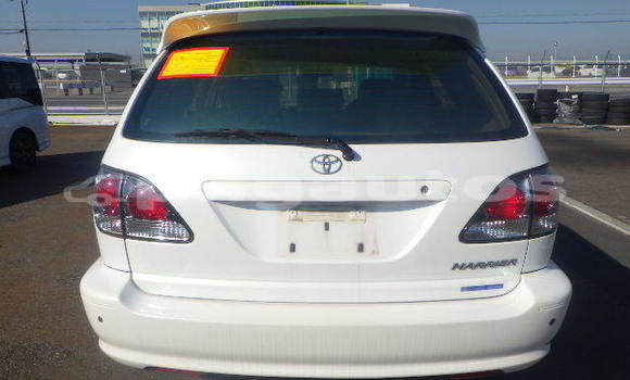 Buy Used Toyota Harrier White Car in Port Moresby in National Capital District Buy Used Toyota Harrier White Car in Port Moresby in National Capital District