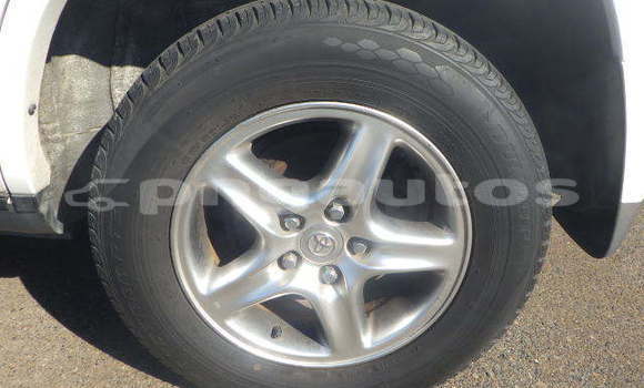 Buy Used Toyota Harrier White Car in Port Moresby in National Capital District Buy Used Toyota Harrier White Car in Port Moresby in National Capital District