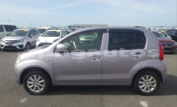Buy Used Toyota Passo Other Car in Port Moresby in National Capital District Buy Used Toyota Passo Other Car in Port Moresby in National Capital District