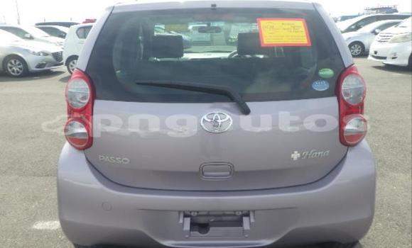 Buy Used Toyota Passo Other Car in Port Moresby in National Capital District Buy Used Toyota Passo Other Car in Port Moresby in National Capital District