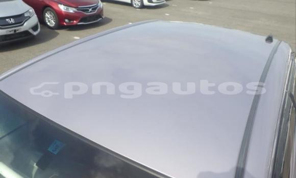 Buy Used Toyota Passo Other Car in Port Moresby in National Capital District Buy Used Toyota Passo Other Car in Port Moresby in National Capital District