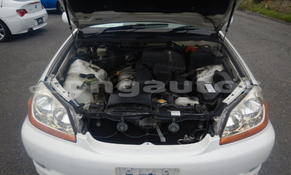 Acheter Occasion Voiture Toyota MarkII Blanc à Port Moresby, National Capital District Acheter Occasion Voiture Toyota MarkII Blanc à Port Moresby, National Capital District