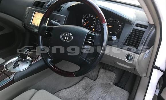 Buy Import Toyota Mark X White Car in Port Moresby in National Capital District Buy Import Toyota Mark X White Car in Port Moresby in National Capital District