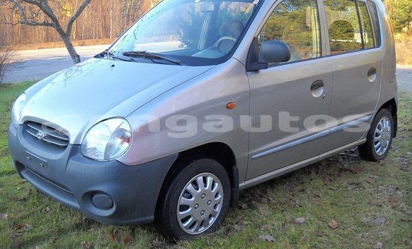 Buy Used Hyundai Accent Other Car in Monara in Madang