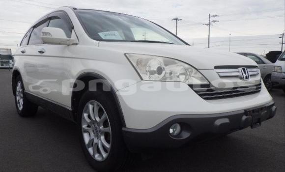 Buy Used Honda CRV White Car in Port Moresby in National Capital District Buy Used Honda CRV White Car in Port Moresby in National Capital District