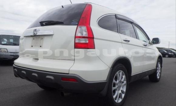Buy Used Honda CRV White Car in Port Moresby in National Capital District Buy Used Honda CRV White Car in Port Moresby in National Capital District