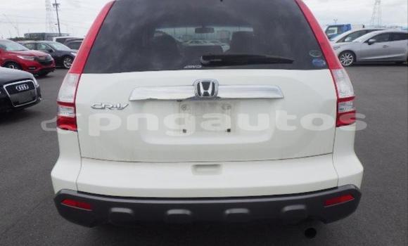 Buy Used Honda CRV White Car in Port Moresby in National Capital District Buy Used Honda CRV White Car in Port Moresby in National Capital District