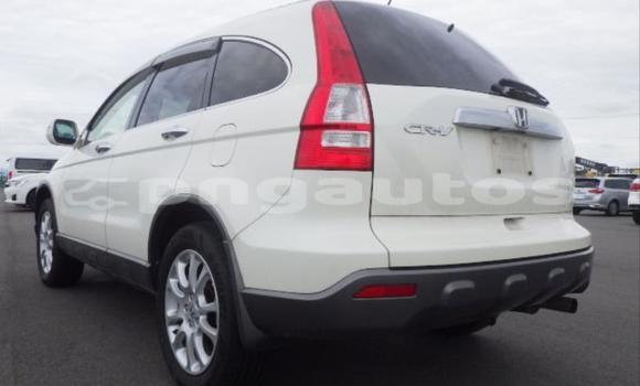 Buy Used Honda CRV White Car in Port Moresby in National Capital District Buy Used Honda CRV White Car in Port Moresby in National Capital District