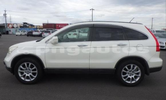 Buy Used Honda CRV White Car in Port Moresby in National Capital District Buy Used Honda CRV White Car in Port Moresby in National Capital District