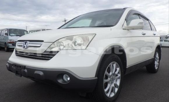 Buy Used Honda CRV White Car in Port Moresby in National Capital District Buy Used Honda CRV White Car in Port Moresby in National Capital District