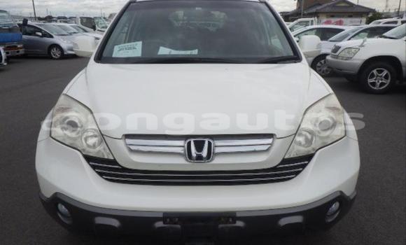 Buy Used Honda CRV White Car in Port Moresby in National Capital District Buy Used Honda CRV White Car in Port Moresby in National Capital District