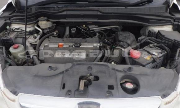 Buy Used Honda CRV White Car in Port Moresby in National Capital District Buy Used Honda CRV White Car in Port Moresby in National Capital District