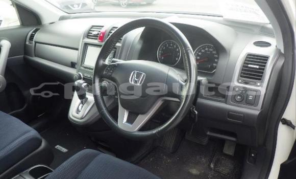 Buy Used Honda CRV White Car in Port Moresby in National Capital District Buy Used Honda CRV White Car in Port Moresby in National Capital District