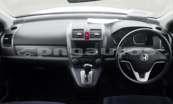 Buy Used Honda CRV White Car in Port Moresby in National Capital District Buy Used Honda CRV White Car in Port Moresby in National Capital District
