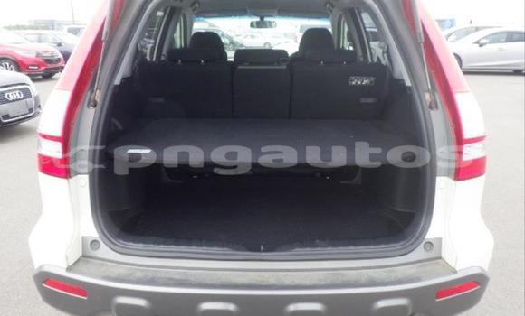 Buy Used Honda CRV White Car in Port Moresby in National Capital District Buy Used Honda CRV White Car in Port Moresby in National Capital District