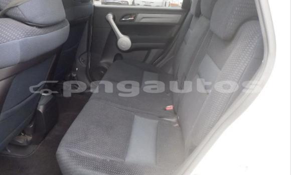 Buy Used Honda CRV White Car in Port Moresby in National Capital District Buy Used Honda CRV White Car in Port Moresby in National Capital District
