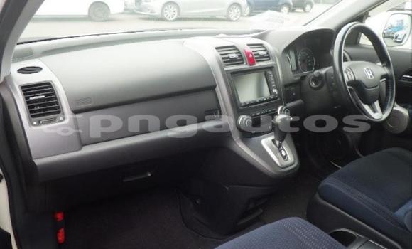 Buy Used Honda CRV White Car in Port Moresby in National Capital District Buy Used Honda CRV White Car in Port Moresby in National Capital District